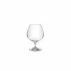 Salt & Pepper Cognacglas 66cl - glas - transparant set van 2