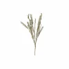 Decoratietak Dried-Look Erica H60cm