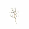 Decoratietak Drift Wood H93cm