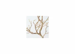 Decoratietak Drift Wood H93cm