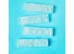 Ijsblokjesvorm Party