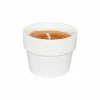 Kaars in witte terracotta pot H10cm indian summer