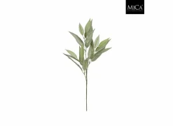 Edelman Kunstbloem Eucalyptus H78cm