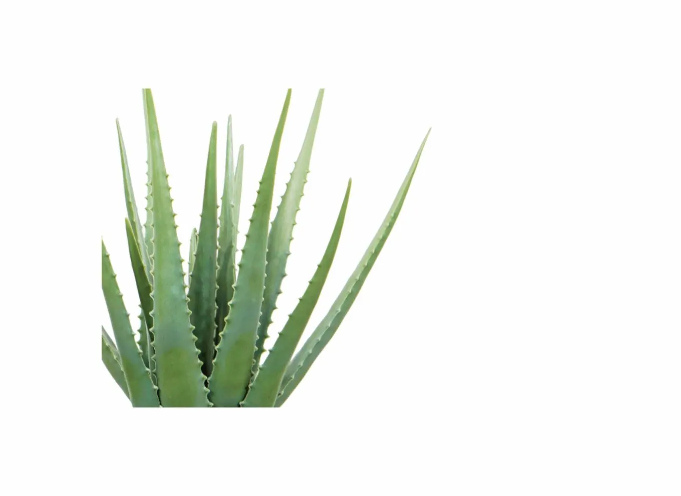 Kunstplant Aloe H46cm