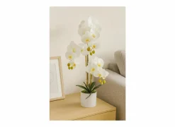 Kunstplant Orchid H60cm