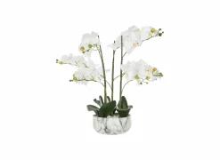 Kunstplant Orchidee H65cm