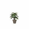 Kunstplant Peperomia + pot Stan H24cm