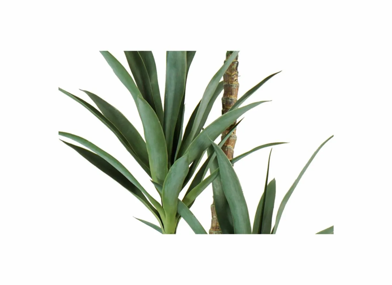 Kunstplant Yucca H150cm