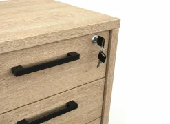 Ladeblok Flexo-2 51x48x59cm - decor - zand eik met slot