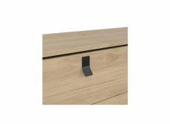 Ladekast Ry 151x41x95cm - decor - bruin/zwart