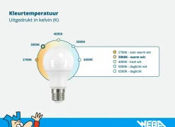 LED-lamp Filament Globe 3,8W E27