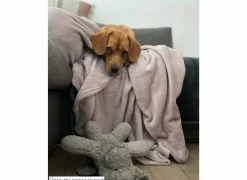 Plaid 150x200cm - microvezel - oudroze