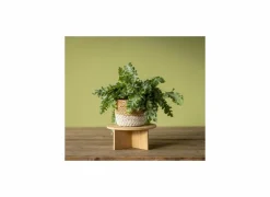 Plantenstandaard Medium H11cm bamboe naturel