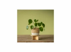 Plantenstandaard Small H8,5cm bamboe naturel