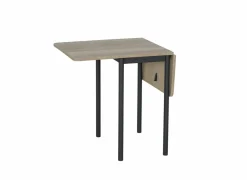 Perfecta Plooitafel 40/100x60cm