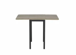 Perfecta Plooitafel 40/100x60cm