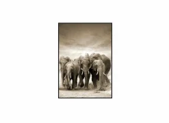 Print op canvas Etosha 80x120cm
