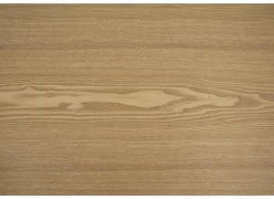 Ronde tafel Daytona Ø120cm - es fineer - naturel