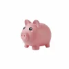 Spaarpot Piggy bank