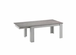 Tafel Eline 170/220x100cm - decor - white oak & autumn oak