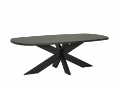 Tafel Raphael 230x119cm - melamine - NOX