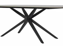 Tafel TF2403  110x210cm - keramiek - wit