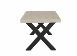 Tafel 164x100cm - decor - natuurlijke olm