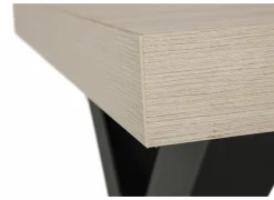 Tafel 164x100cm - decor - natuurlijke olm