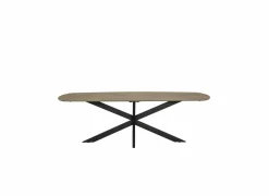 Tafel 240x100cm - HPL - naturel