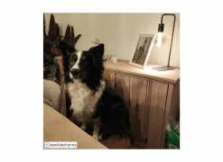 Tafellamp Keli E27 H45m