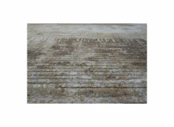 Ragolle Tapijt Aspero 240x300cm - polyester - multicolor