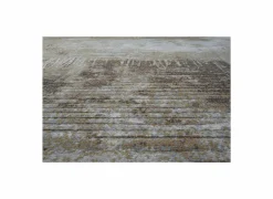 Ragolle Tapijt Aspero 240x330cm - polyester - multicolor