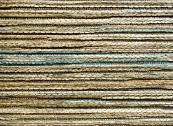 Ragolle Tapijt Brandon 240x340cm - polypropyleen - groen