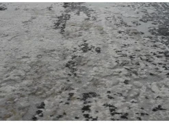 Ragolle Tapijt Caucus 80x150cm - polyestervezel - multicolor