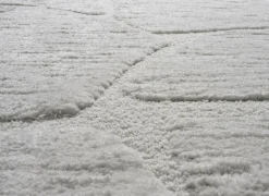 Ragolle Tapijt Madagaskar 200x290cm - polyestervezel - wit