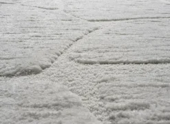 Ragolle Tapijt Madagaskar 200x290cm - polyestervezel - wit