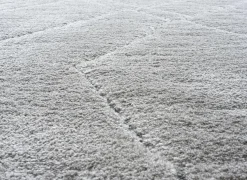 Ragolle Tapijt Madagaskar 200x290cm - polyestervezel - lichtgrijs