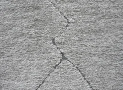 Ragolle Tapijt Madagaskar 200x290cm - polyestervezel - lichtgrijs