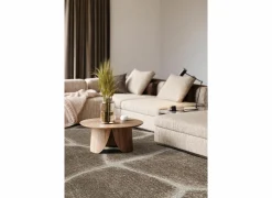 Ragolle Tapijt Madagaskar 240x340cm - polyestervezel - bruin