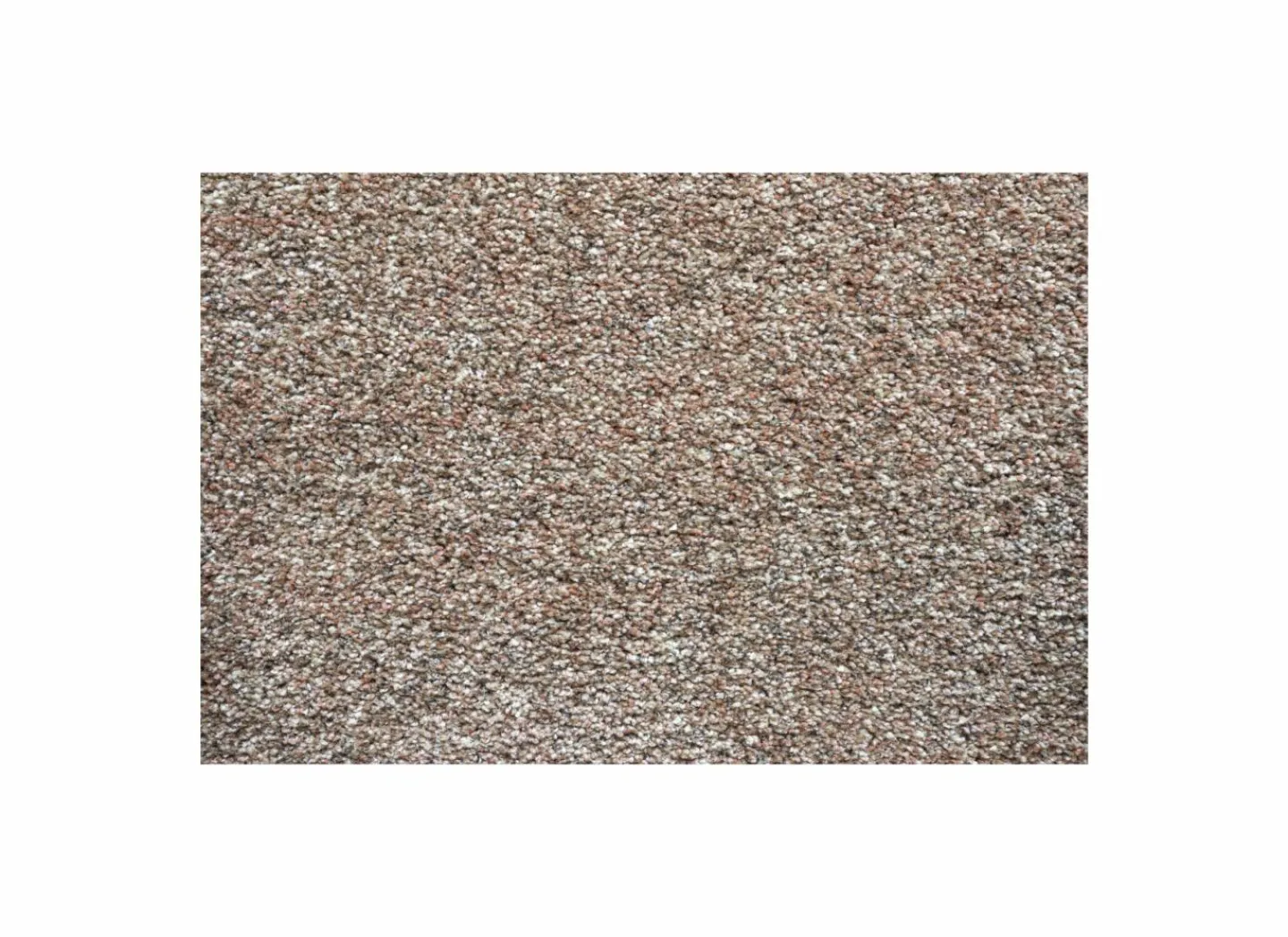 Ragolle Tapijt Medusa 240x300cm - polyestervezel - bruin