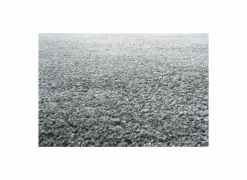 Ragolle Tapijt Medusa 160x230cm - polyestervezel - grijs