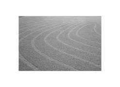 Ragolle Tapijt Trevos 160x230cm - polyestervezel - beige & wit