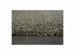 Ragolle Tapijt Twister 240x300cm - polypropyleen - groen