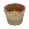 Tuinkaars Citronella  H6,5cm - aged teracotta - steen