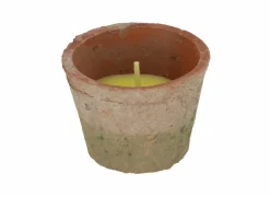 Tuinkaars Citronella  H6,5cm - aged teracotta - steen