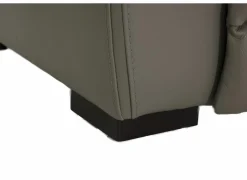 Zetel Curry  2,5+2+1-zit - leder - asgrijs met relax